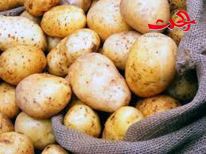 وزارة الزراعة : توضح أسباب ارتفاع أسعار البطاطا
