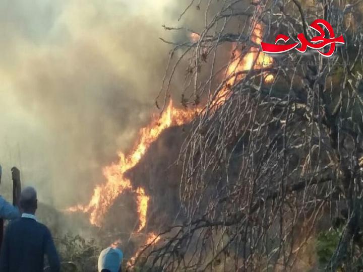 في ريف حمص الغربي : اندلاع حريق كبير  بأشجار  زيتون في أراضي الجوانيات.