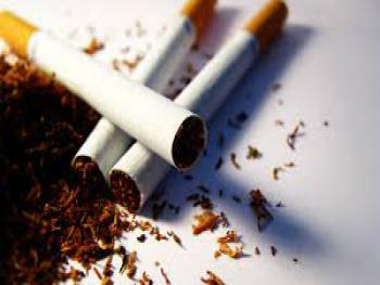 تحديد أسعار شراء التبغ من الفلاحين لموسم 2021-2022