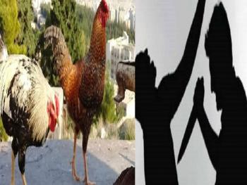 في دمشق : عم يطعن أولاد شقيقة بسكين والسبب "دجاجة"