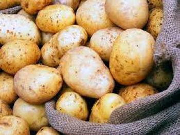 وزارة الزراعة : توضح أسباب ارتفاع أسعار البطاطا