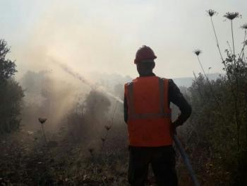 إخماد حريق بأشجار مثمرة في وادي قيسوس على الحدود الإدارية بين حمص وطرطوس.