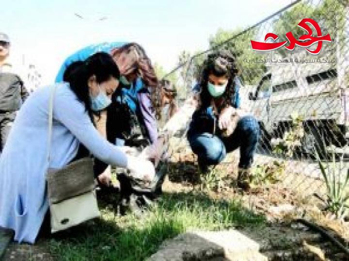 في حمص : أكثر من 800 موافقة بيئية وإجازة استيراد خلال 2021