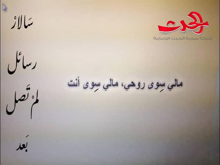 تصطفّ الحروف لاستقبال__رسائل لم تصل بعد / سالار / بقلم هبة أحمد إبراهيم__