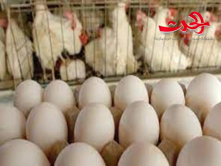 سعر صحن البيض يصل لحدود 14 ألف ليرة في أسواق دمشق 
