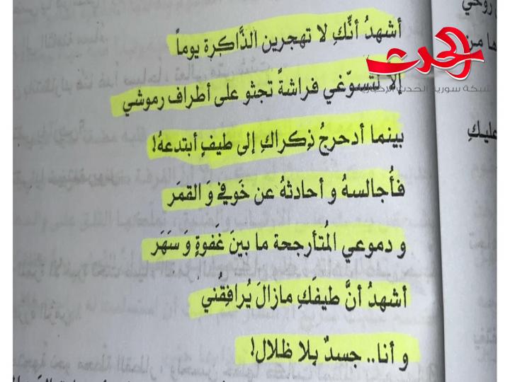 ميرينا لا ترى الضوء .. أشهد أنك لا تهجرين الذاكرة .. أشهد أنك قاتلي ..