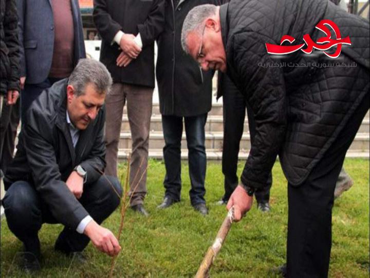 وزير ومحافظ يزرعون عدد من أشجار الساكورا اليابانية في حدائق دمشق