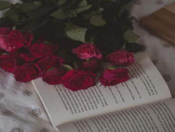 إجابة مؤكدة.. بقلم رند عكاش