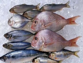 وزارة الصحة: تحذر من شراء الأسماك من الباعة الجوالين  