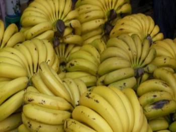 اللجنة الاقتصادية : توافق على استيراد 50 ألف طن من الموز اللبناني