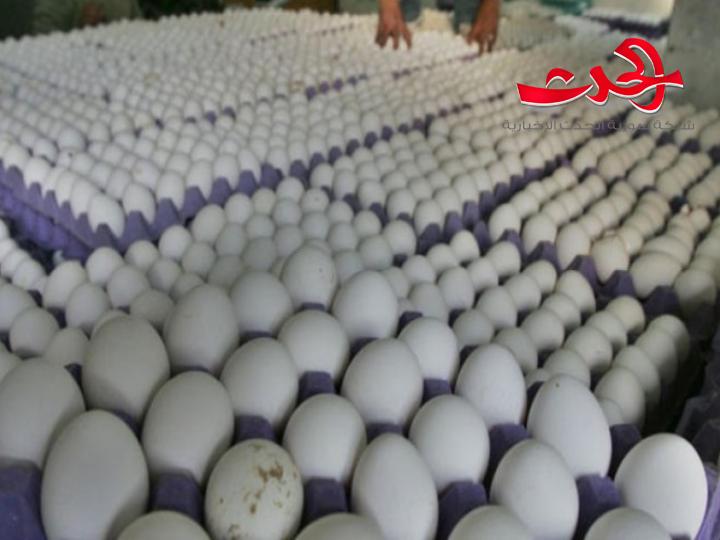 سعر البيضة الواحدة إلى 2000 ليرة و سعر الصحن وصل لـ 55 ألفاً