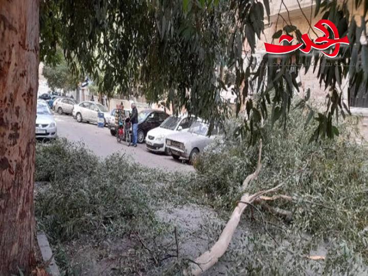 ورشات محافظة دمشق تستمر بإزالة الأشجار  وألواح الطاقة الشمسية المتساقطة جراء شدة الرياح