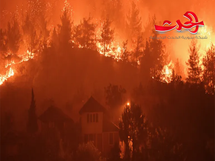 إخلاء عدة أحياء بمدينة بورصة التركية جراء اندلاع حرائق غابات